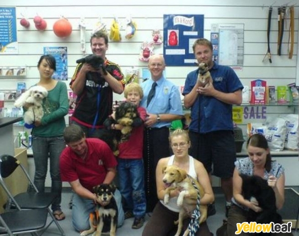 Dogtech Uk