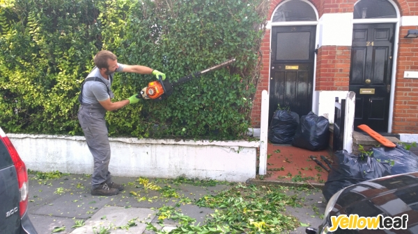 Gardening Services Dorking