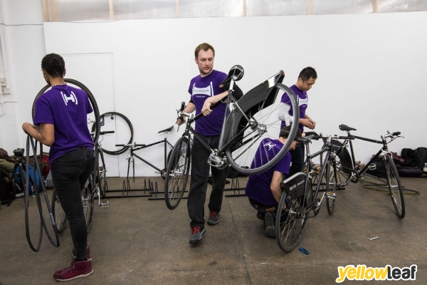 Honor Cycles
