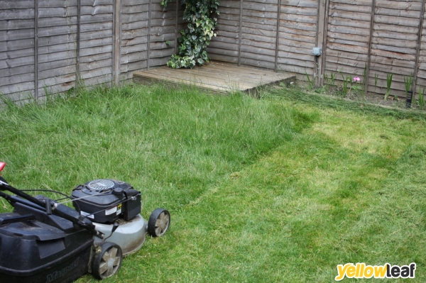 Gardening Services Dorking