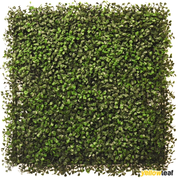 Hedged In Quality Artificial Hedge Supplier