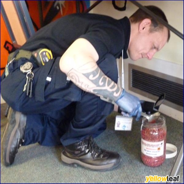 Cavalry Pest Solutions