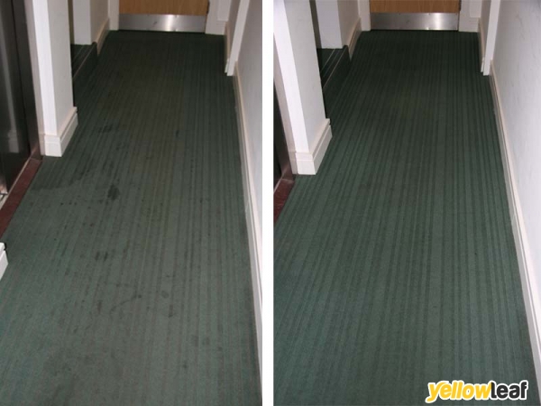 Lush Carpet Cleaning
