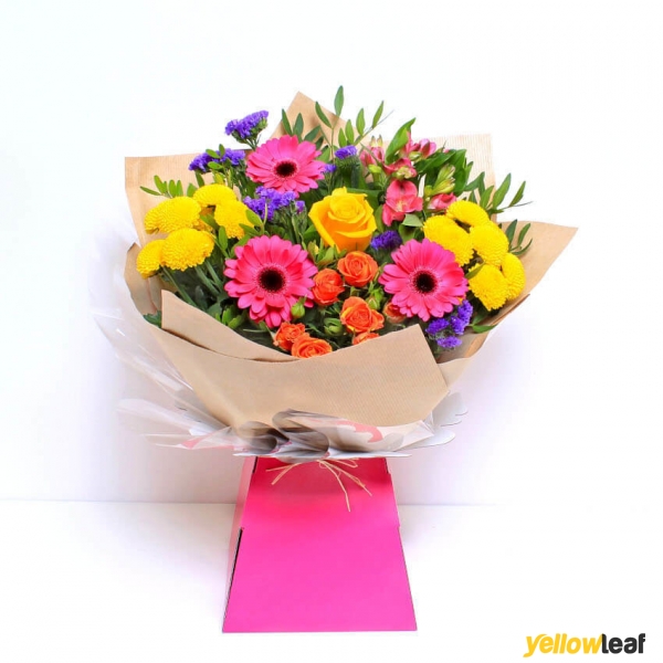 BloomLocal