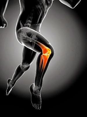 Active Physiotherapy