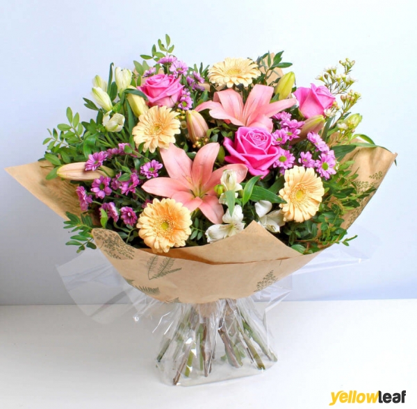 BloomLocal