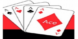 Ace Driveways