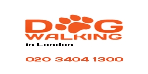 Dog Walking London
