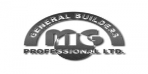 MG PROFESSIONAL LTD.