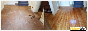 Alpha Floor Sanding