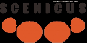 Scenicus Digital Marketing