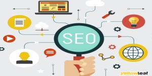 Backlinks Direct
