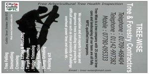 Tree Wise Tree & forestry contractors