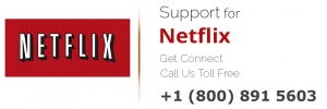 netflix support