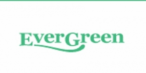 Evergreen Nebulisers Ltd
