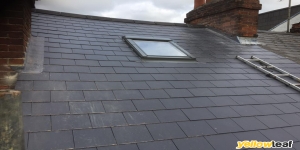 Dynamic Roofing Solutions