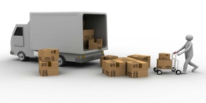 Nick Palmer Removals-Man and Van
