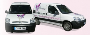 THE CLEANING FAERIE