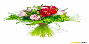 Be My Flower