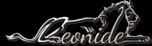 Leonide Interiors