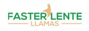 Photograph chosen llama