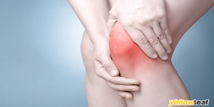 the Osteopaths Bude