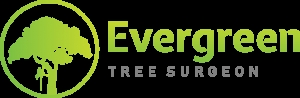 Evergreen Tree Surgeon