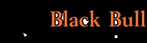 Black Bull Engineering