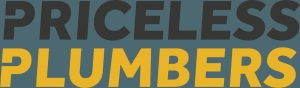 Business Plumbers