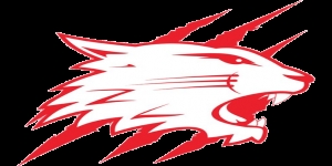 Swindon Wildcats