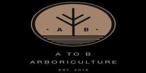 A to B Arboriculture Ltd