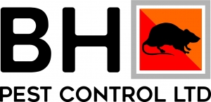 Bee Honst Pest Control
