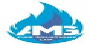 AMG Fire Solutions Ltd