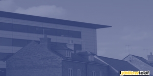 Emerald Ritter Surveying Services Limited