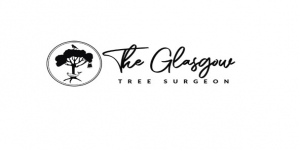 Timber Tree Surgeons Glasgow