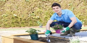 Horsham Garden & Landscaping Services