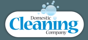 Domestic Cleaning Company