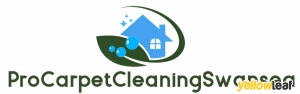 pro carpet cleaning swansea