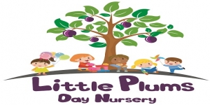Little Plums Nursery Rotherham