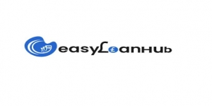 Easy Loan Hub