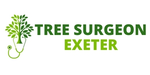 Tree Surgeon Exeter