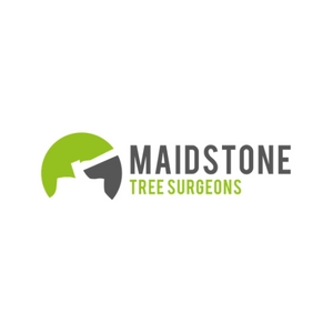Maidstone Tree Surgeons Ltd - Tree Surgeon in Maidstone