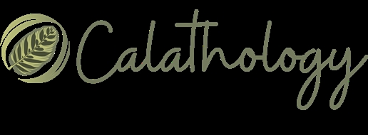 Calathology