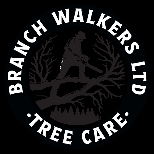Sheffield Tree Surgeon