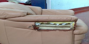 Central Upholstery