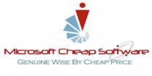 Microsoft Cheap Software